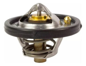 Termostato Ford Fiesta 1.6 Original Motorcraft (2011-2019)