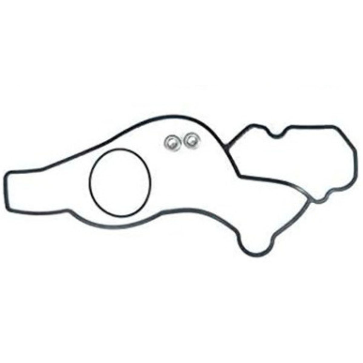 Bomba Agua Ford F-250 Super Duty 1999-2003 - Imagen 3